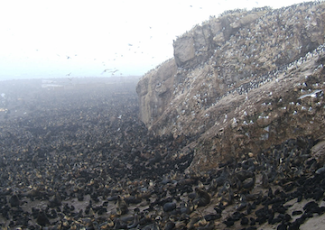 Puerto Baltra,